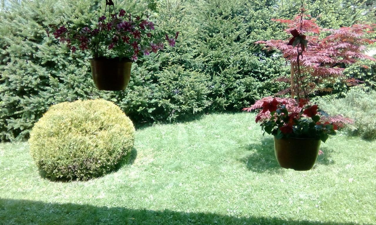 Apartmani Nais Zlatibor Buitenkant foto