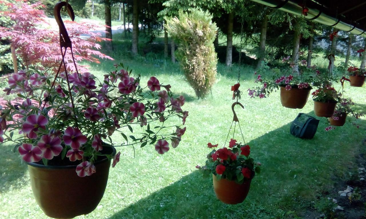 Apartmani Nais Zlatibor Buitenkant foto