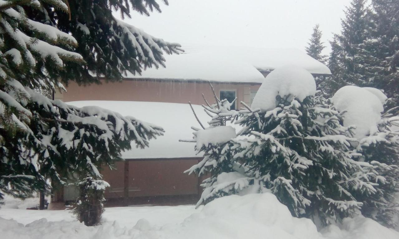 Apartmani Nais Zlatibor Buitenkant foto